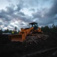 Mainifesto - Carbon Storage or Forest Burial? - hero