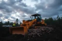 Mainifesto - Carbon Storage or Forest Burial? - hero