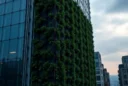 Mainifesto - Green Walls: Climate Fix or Fire Hazard? - hero