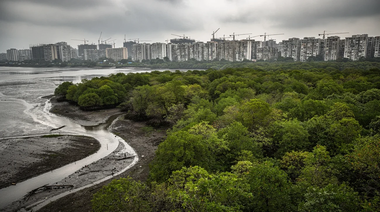 Editorial photograph of the Thane Creek shoreline in metropolitan Mumbai, India, viewed obliquely from an elevated.